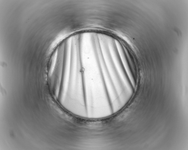 X0000090721363200708101545