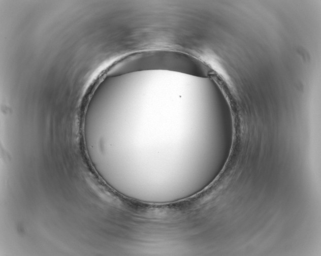 X0000090721364200708101545
