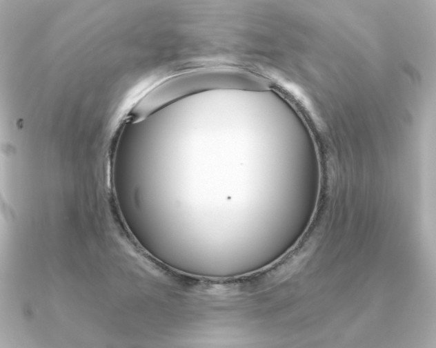 X0000090721365200708101545