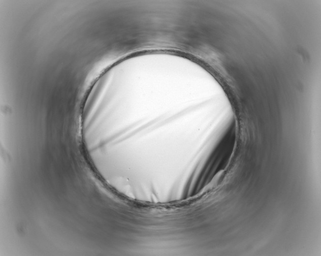 X0000090721366200708101545