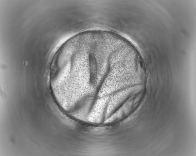 X0000090721367200708101545