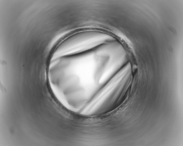 X0000090721368200708101545