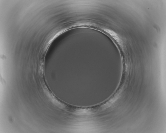 X0000090721369200708101545