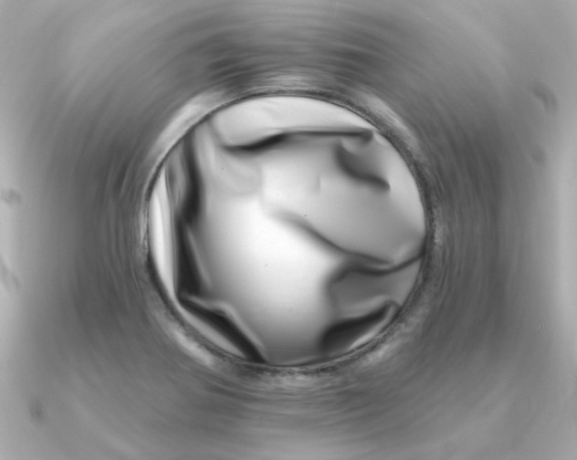 X0000090721370200708101545