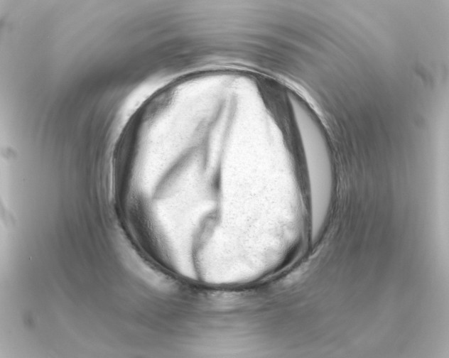 X0000090721371200708101545