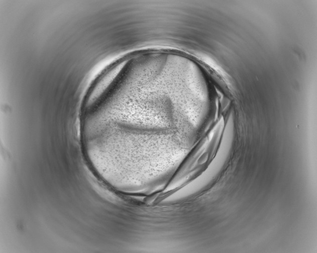 X0000090721372200708101545