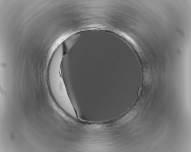 X0000090721373200708101545
