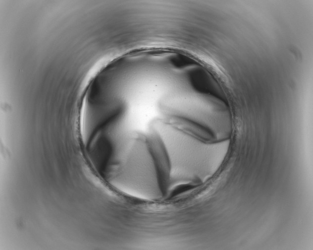 X0000090721374200708101545