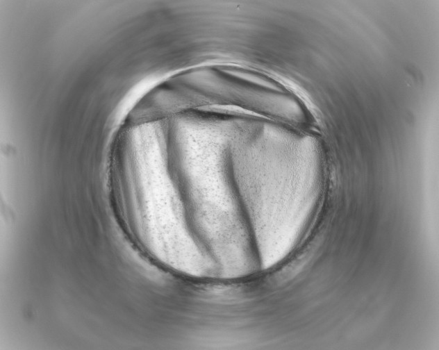 X0000090721375200708101545