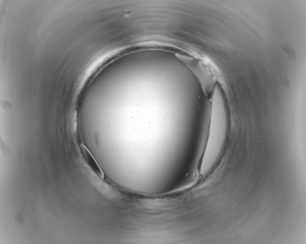 X0000090721376200708101544