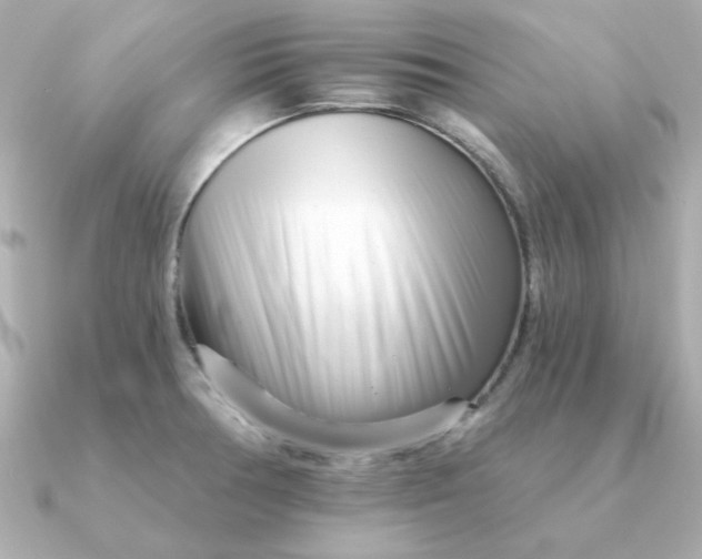 X0000090721378200708101544