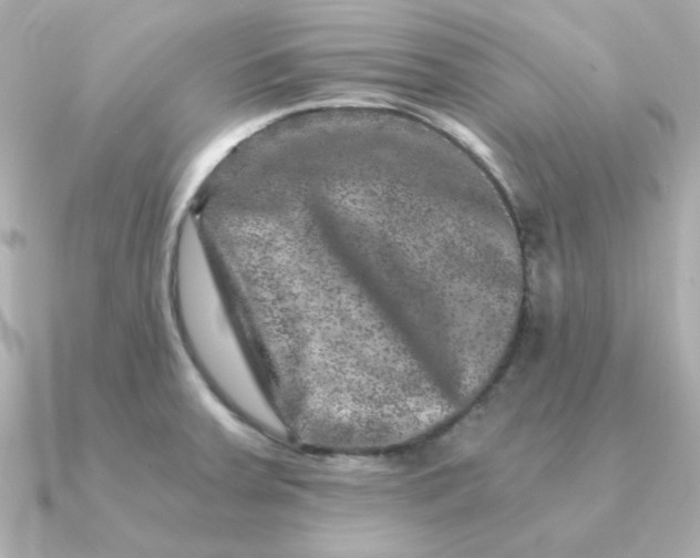 X0000090721379200708101544