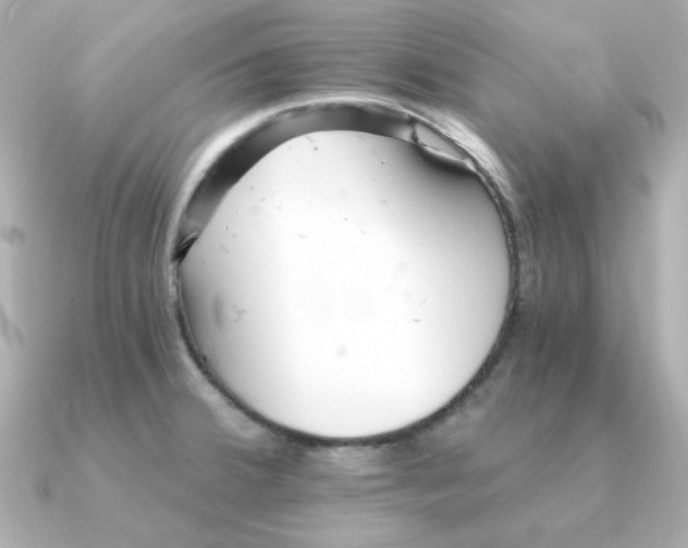 X0000090721380200708101544