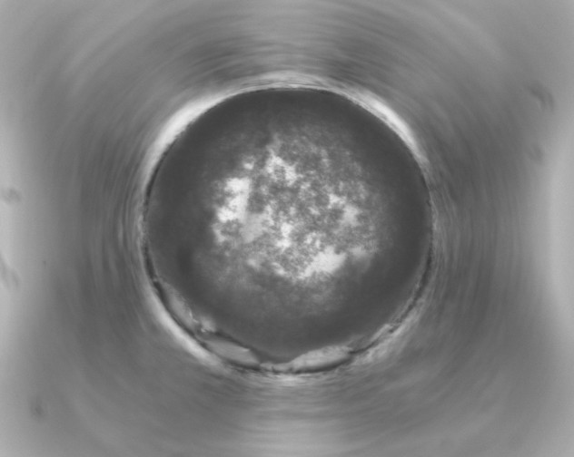 X0000090721381200708101544
