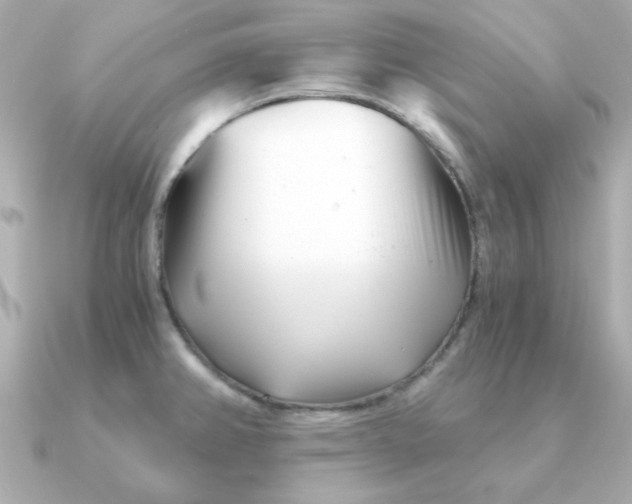 X0000090721382200708101544