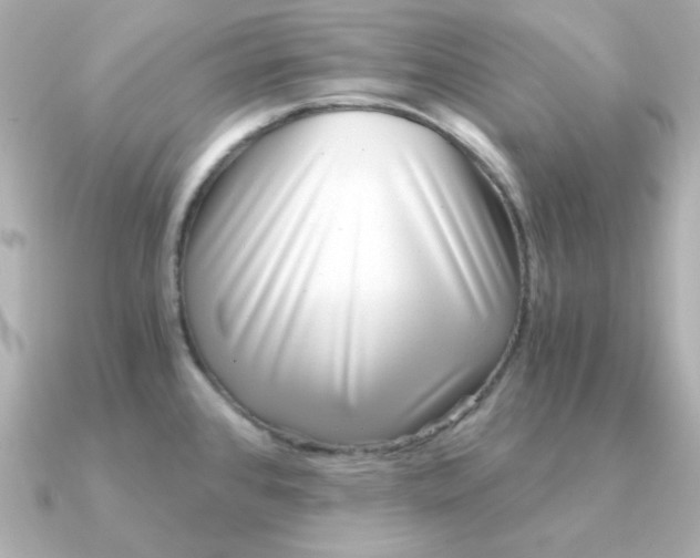 X0000090721384200708101544
