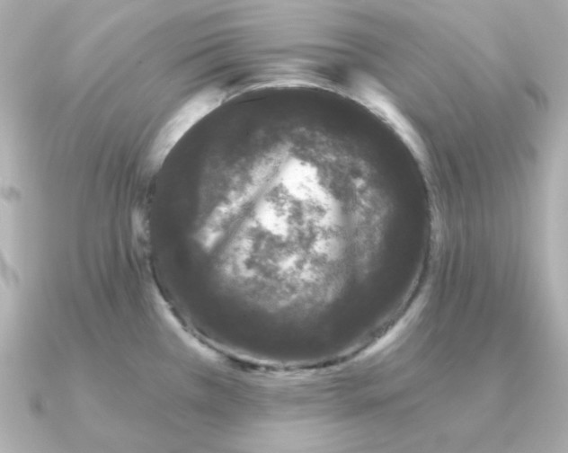 X0000090721385200708101544