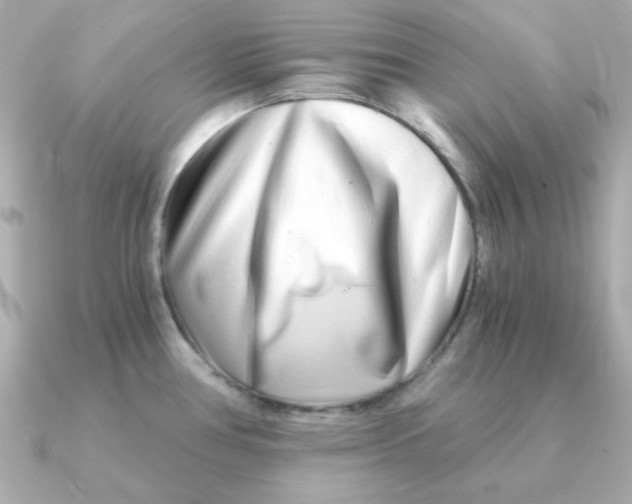 X0000090721386200708101544