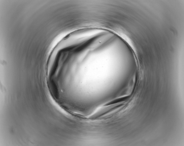 X0000090721389200708101544