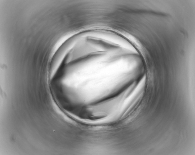 X0000090721390200708101544