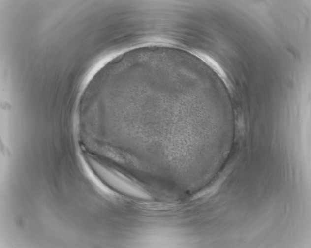 X0000090721391200708101544
