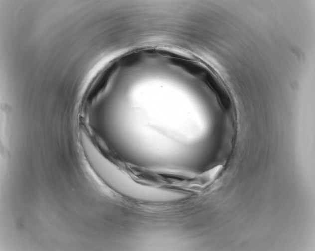 X0000090721392200708101544