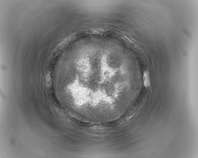 X0000090721395200708101544