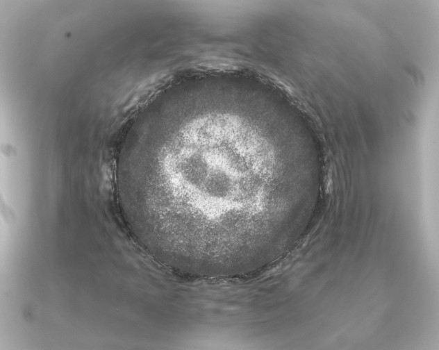 X0000090721397200708101544