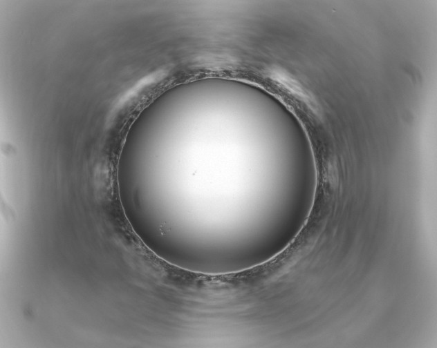X0000090721398200708101544