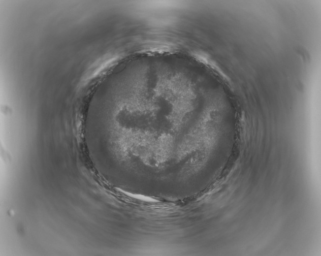 X0000090721399200708101544