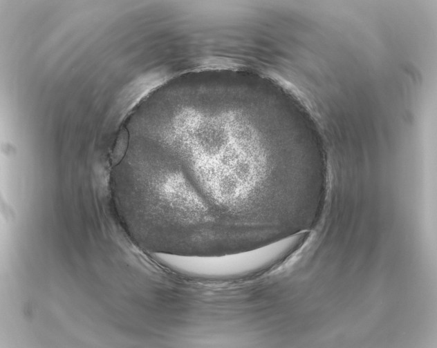 X0000090721401200708101544