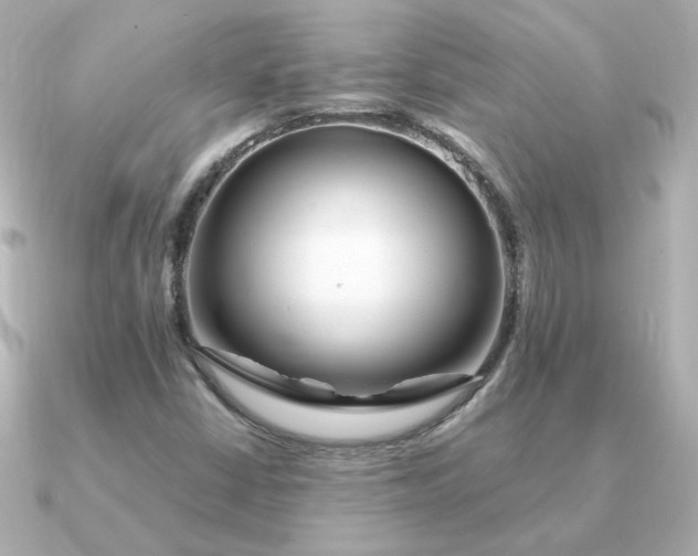 X0000090721402200708101544