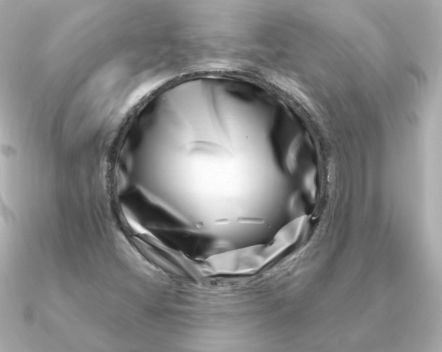 X0000090721404200708101544