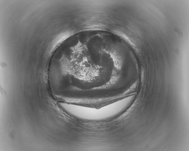 X0000090721405200708101544