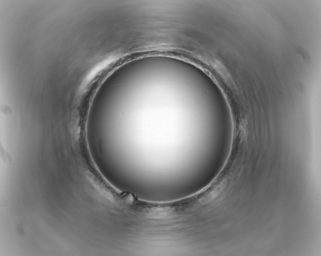 X0000090721406200708101544