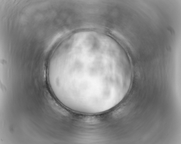 X0000090721408200708101544