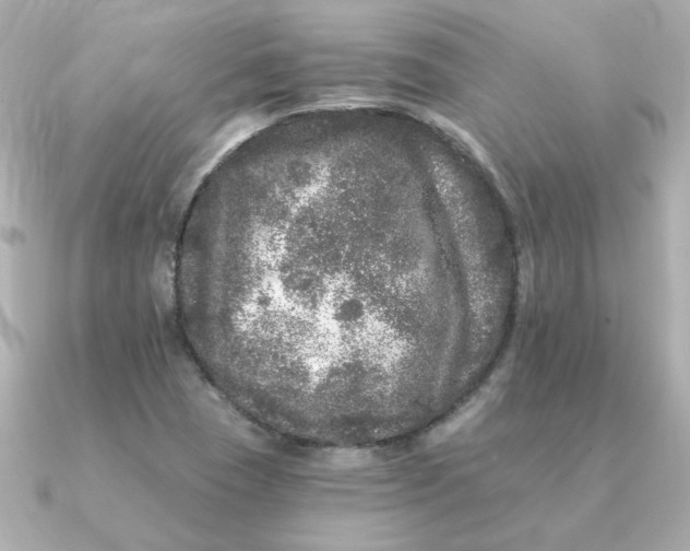 X0000090721409200708101544