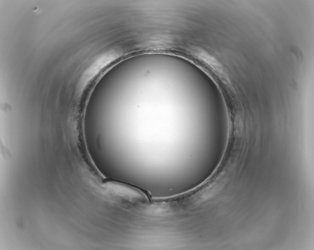 X0000090721410200708101544
