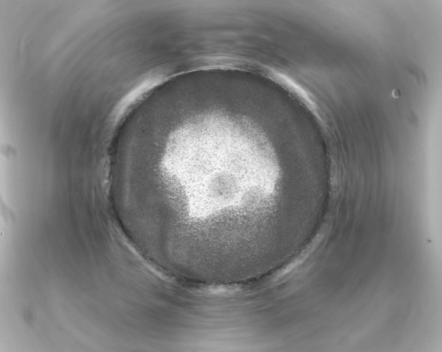 X0000090721411200708101544