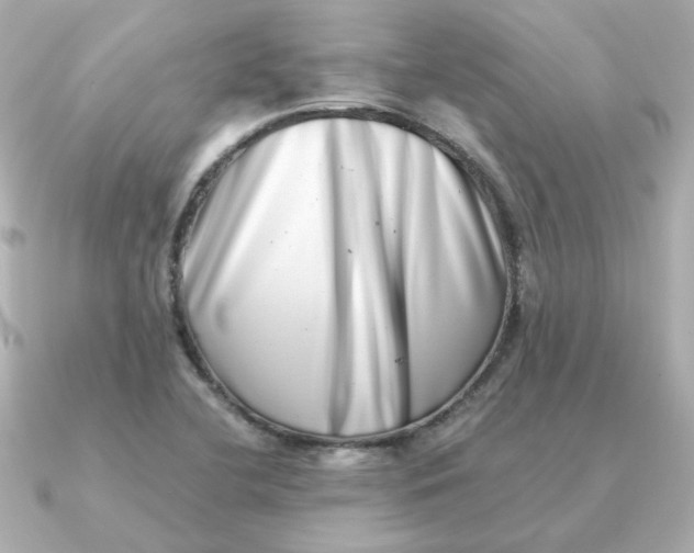 X0000090721412200708101544
