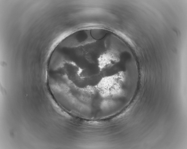 X0000090721413200708101544