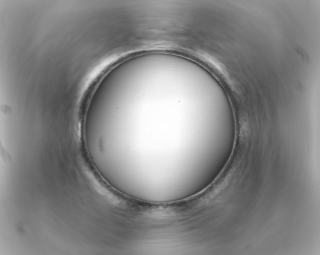 X0000090721414200708101544