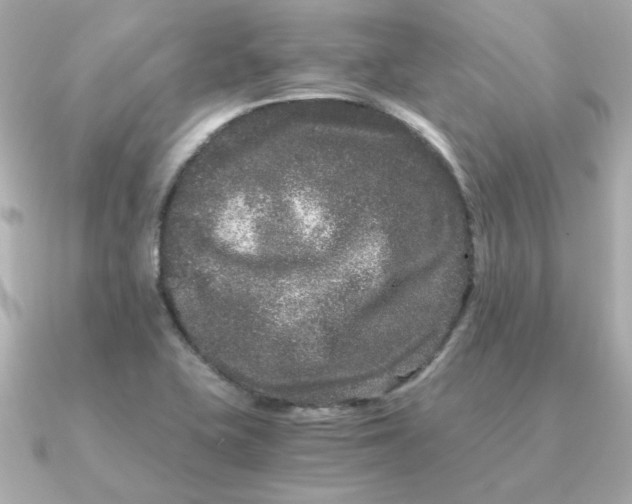 X0000090721415200708101544