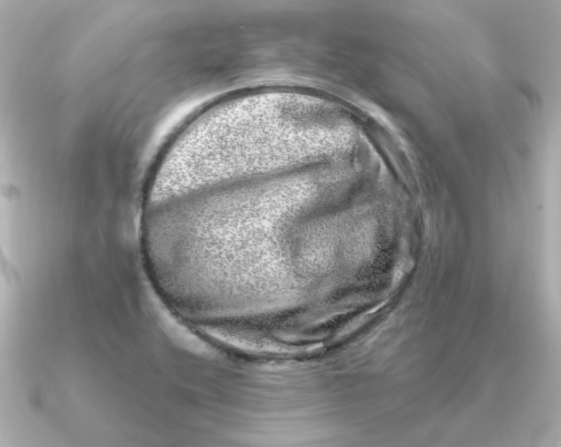 X0000090721416200708101544