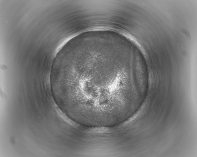 X0000090721417200708101544