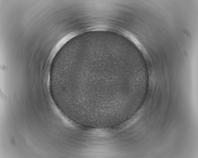 X0000090721418200708101544