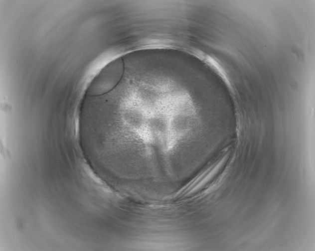 X0000090721419200708101544