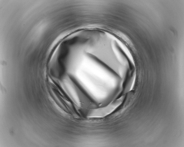 X0000090721420200708101544