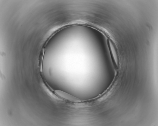 X0000090721422200708101544