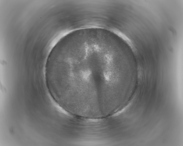 X0000090721423200708101544